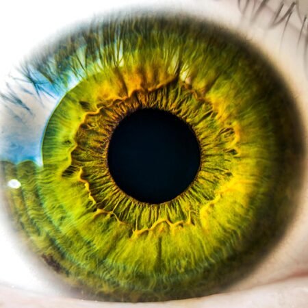 Green iris macro
